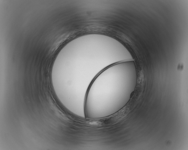 X0000111680452200908281140