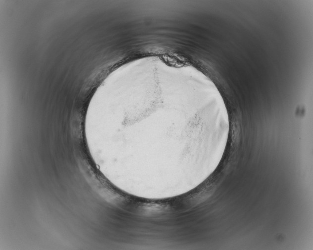 X0000111680453200908281140