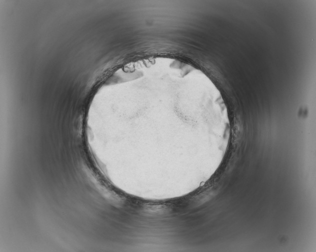 X0000111680454200908281140