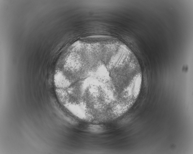 X0000111680457200908281140