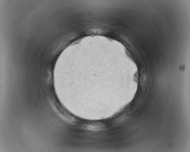 X0000111680459200908281140