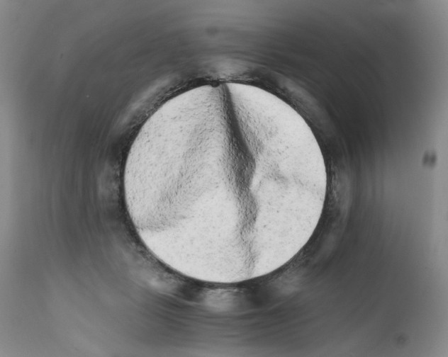 X0000111680461200908281140