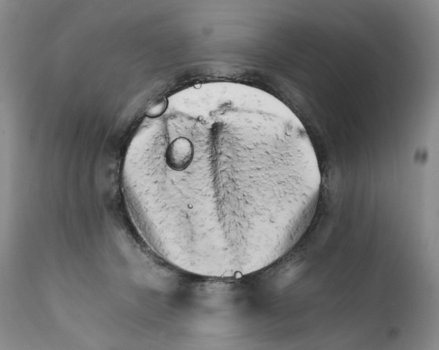 X0000111680462200908281140