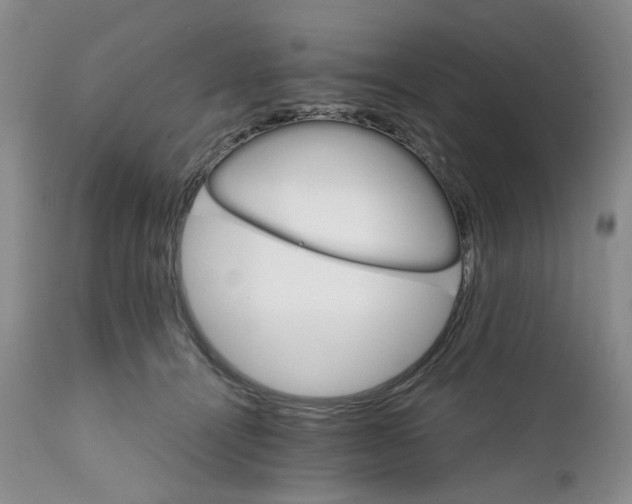 X0000111680464200908281140