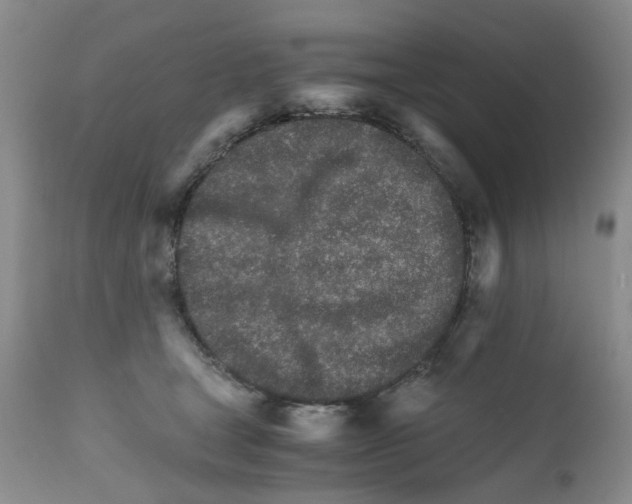 X0000111680465200908281140