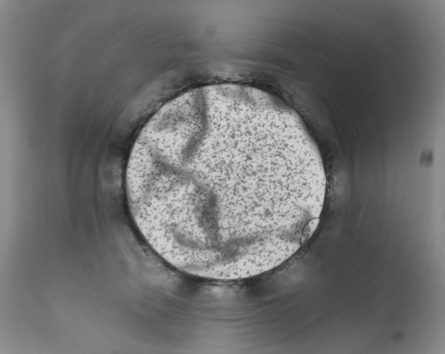 X0000111680466200908281140