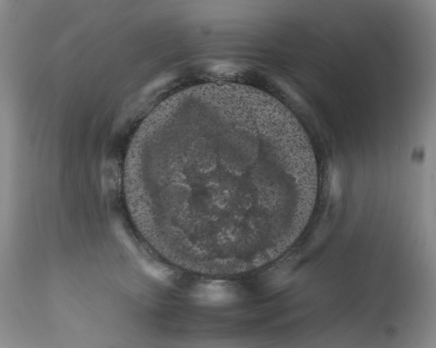 X0000111680467200908281140