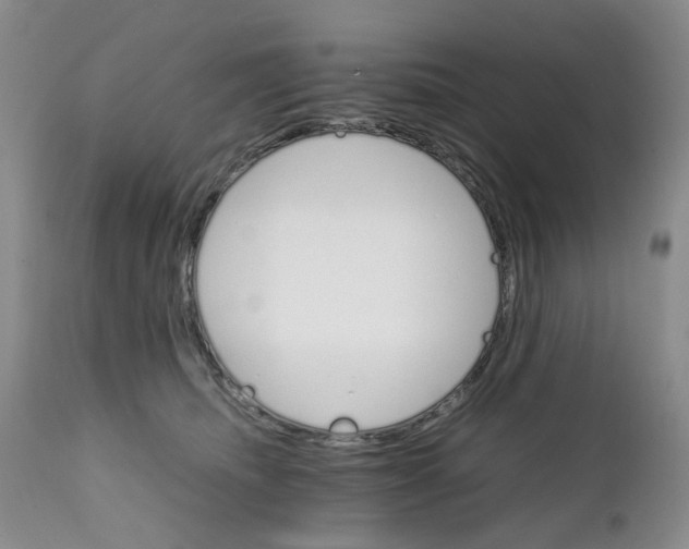 X0000111680468200908281140