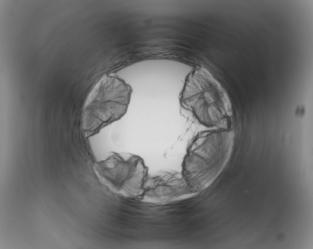 X0000111680469200908281140