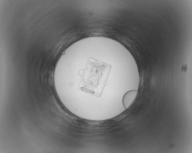 X0000111680470200908281140