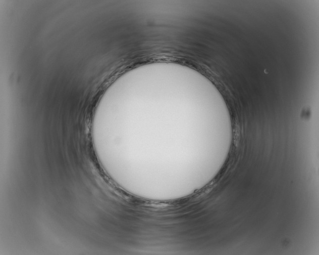 X0000111680472200908281140