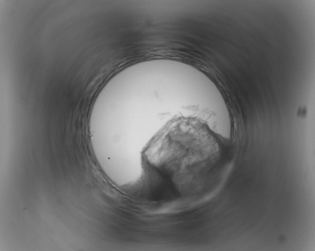 X0000111680473200908281140