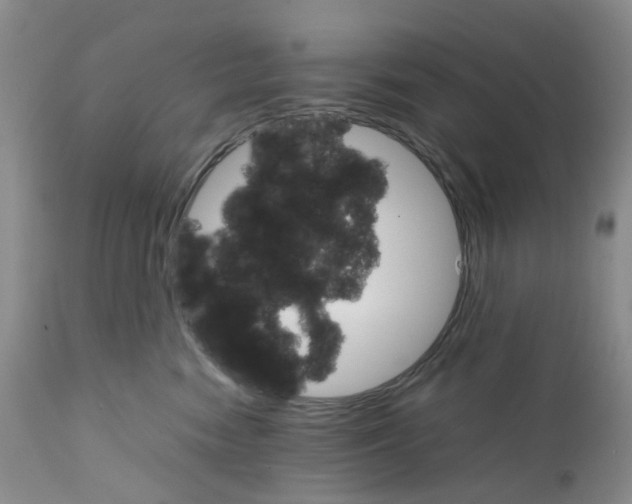 X0000111680474200908281140