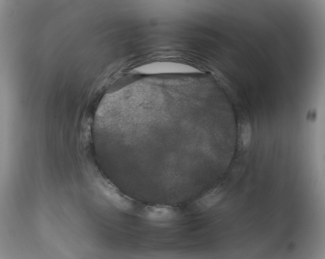 X0000111680475200908281140