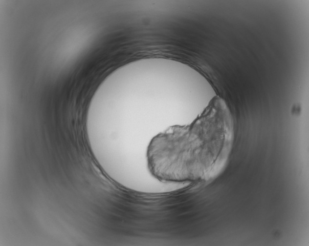 X0000111680477200908281140