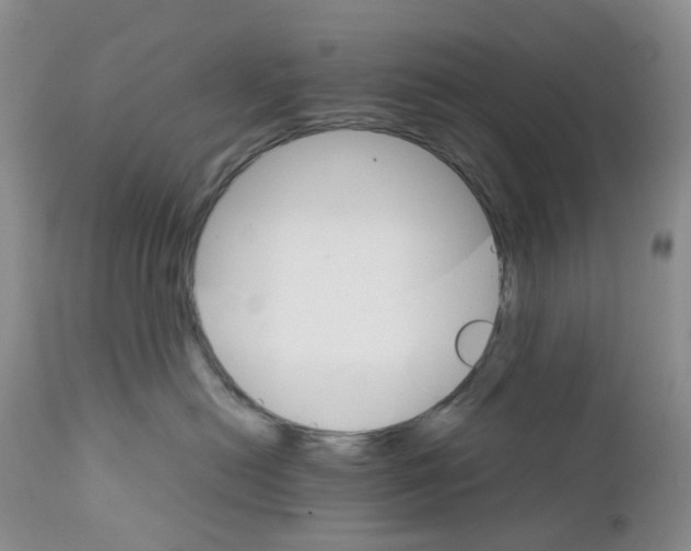 X0000111680478200908281140