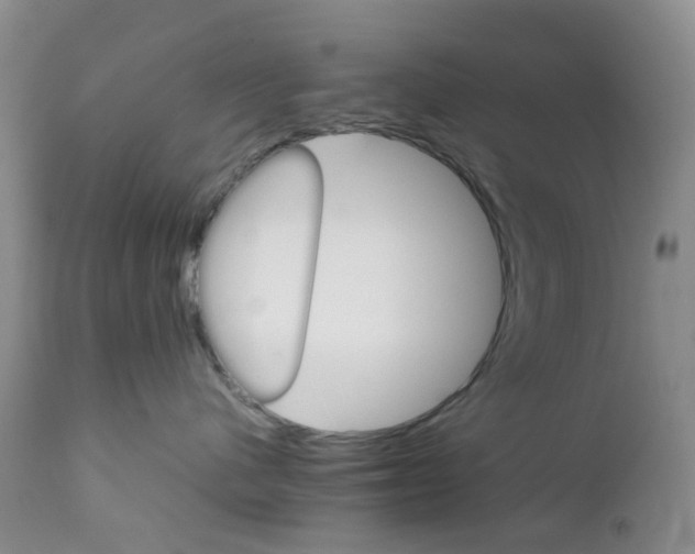 X0000111680480200908281140