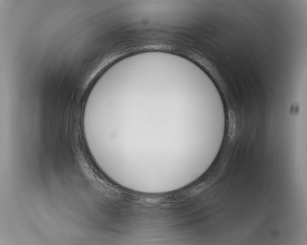 X0000111680482200908281139