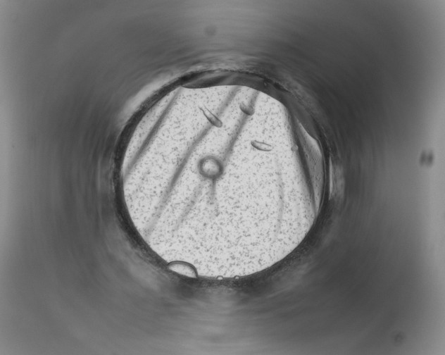 X0000111680483200908281139