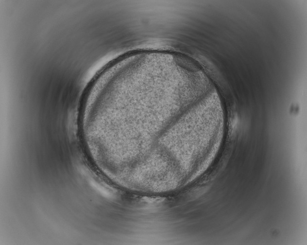 X0000111680484200908281139