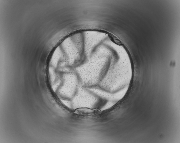 X0000111680485200908281139