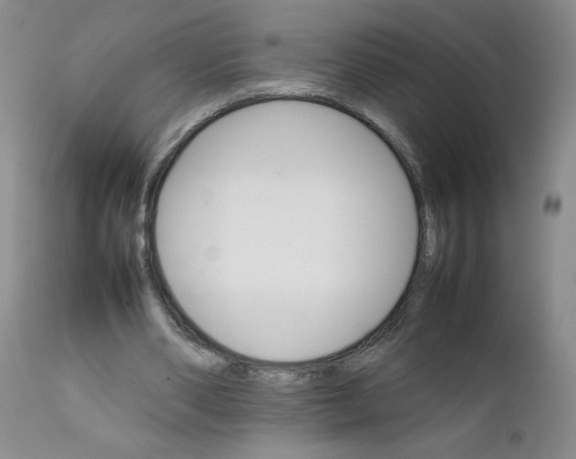 X0000111680486200908281139