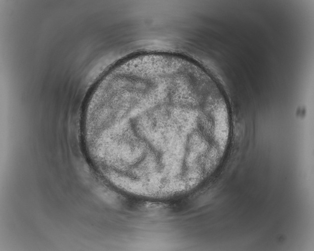 X0000111680487200908281139