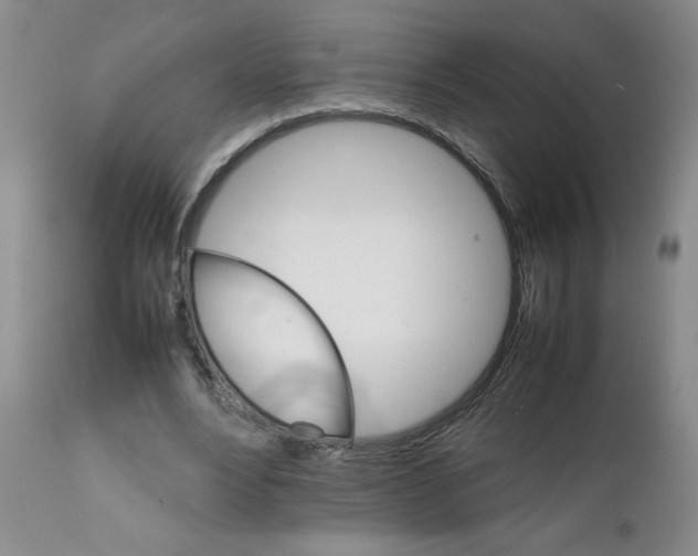 X0000111680488200908281139