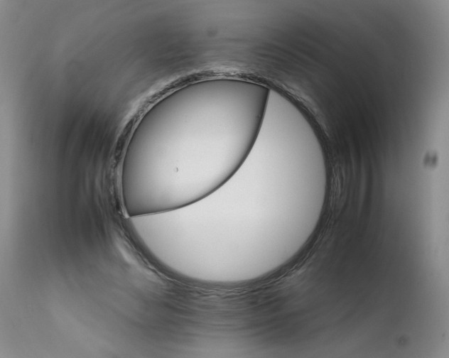 X0000111680492200908281139