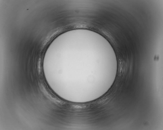 X0000111680494200908281139