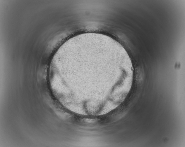 X0000111680495200908281139