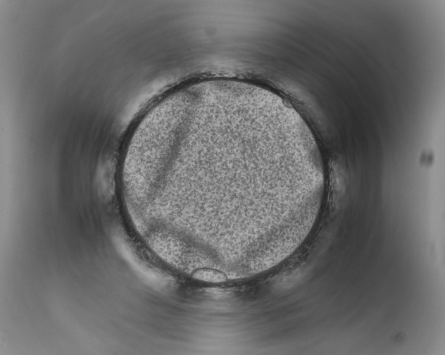 X0000111680496200908281139