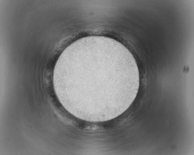 X0000111680503200908281139