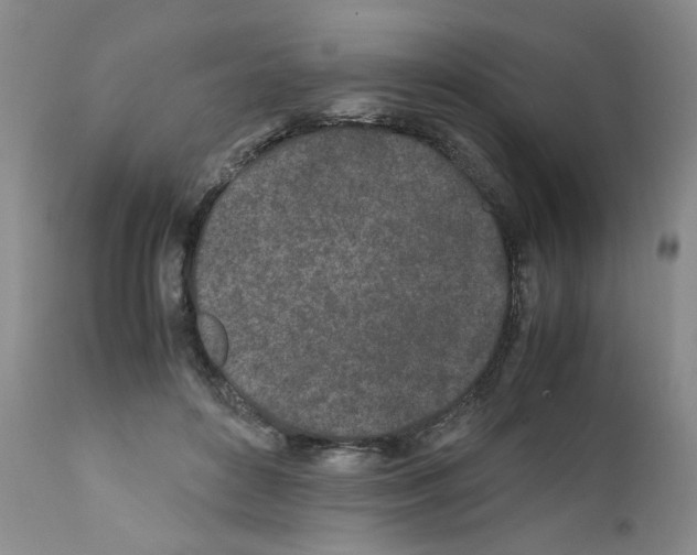 X0000111680504200908281139