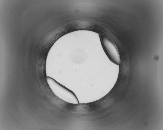 X0000111680505200908281139