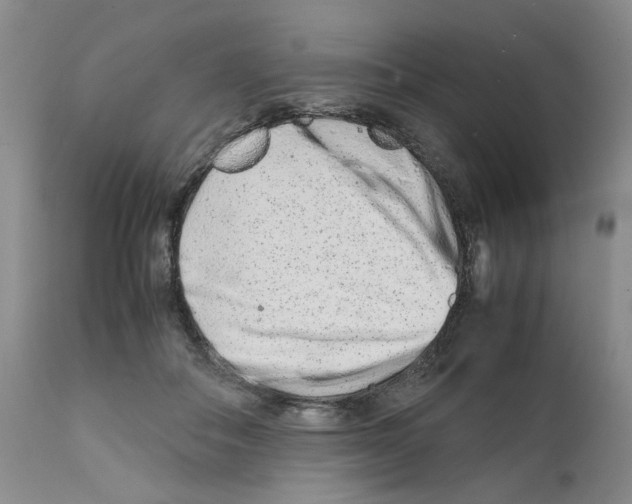 X0000111680506200908281139