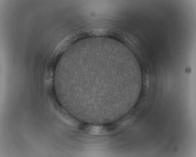 X0000111680507200908281139