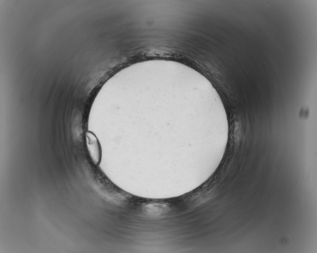 X0000111680508200908281139