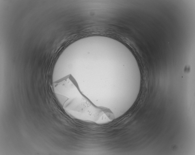 X0000111680509200908281139