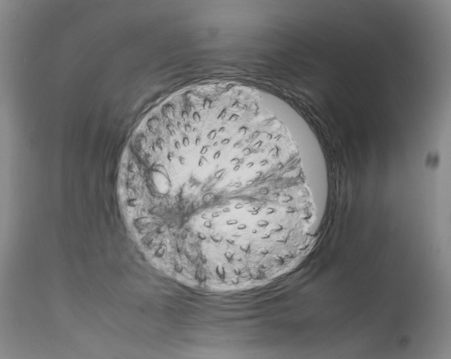 X0000111680511200908281139