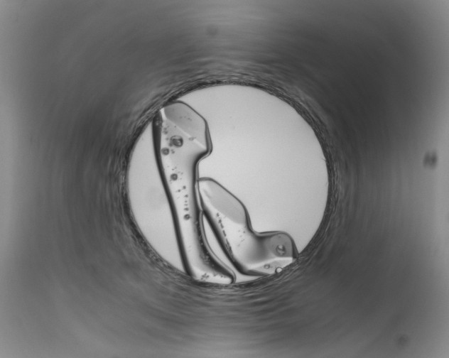 X0000111680513200908281139