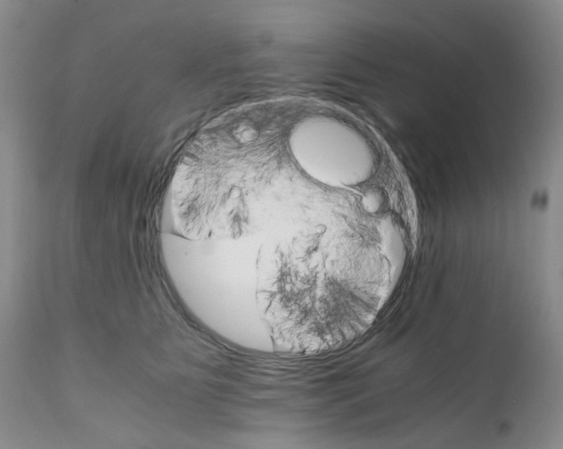 X0000111680515200908281139