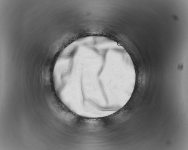 X0000111680516200908281139