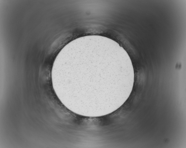 X0000111680517200908281139