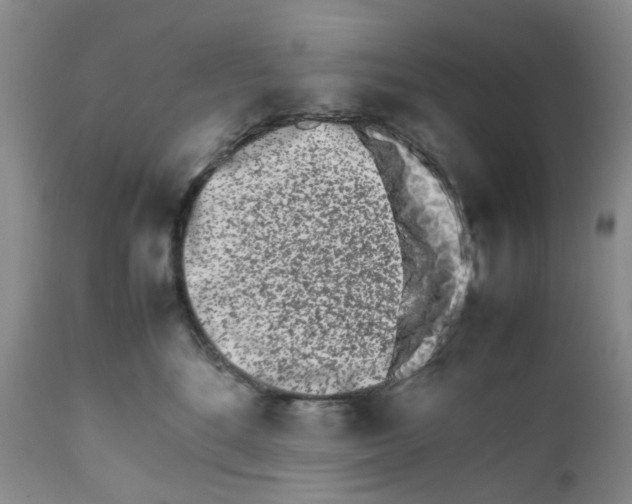 X0000111680520200908281139