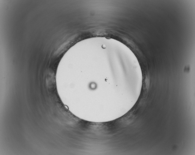 X0000111680521200908281139