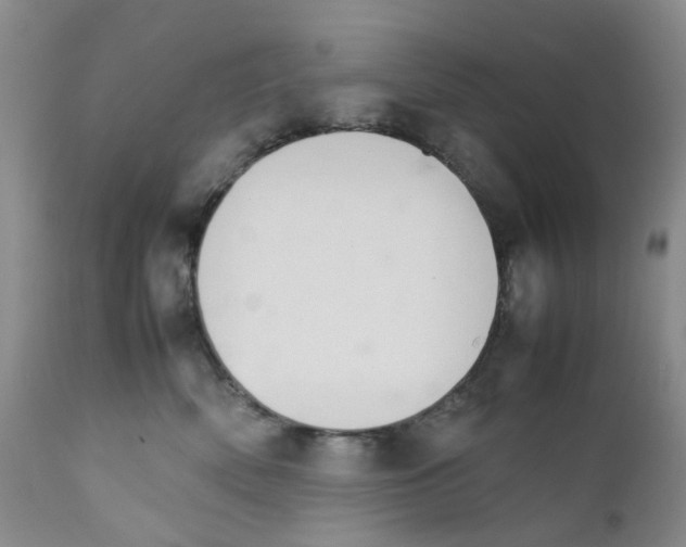 X0000111680522200908281139