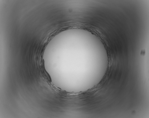 X0000111680524200908281139