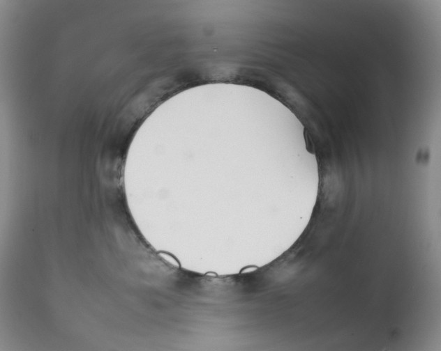 X0000111680525200908281139