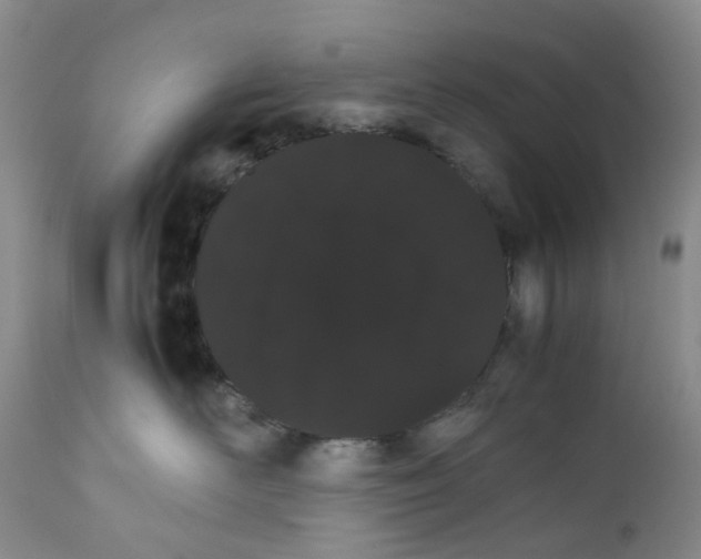 X0000111680526200908281139